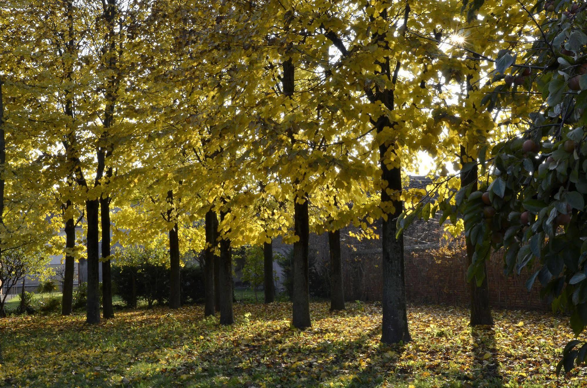9 Muse Bed And Breakfast Canneto sull'Oglio Экстерьер фото